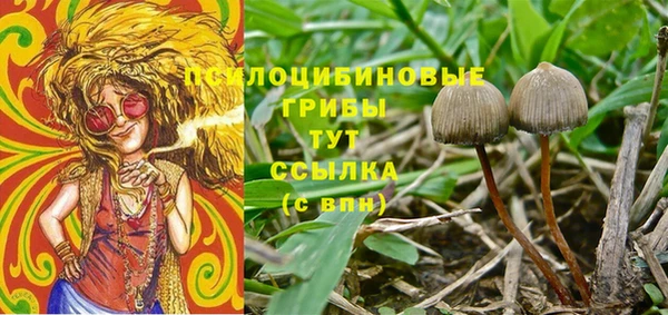 ешки Белоозёрский