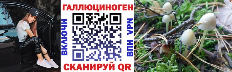 Псилоцибиновые грибы прущие грибы  как найти   omg онион  Валуйки 