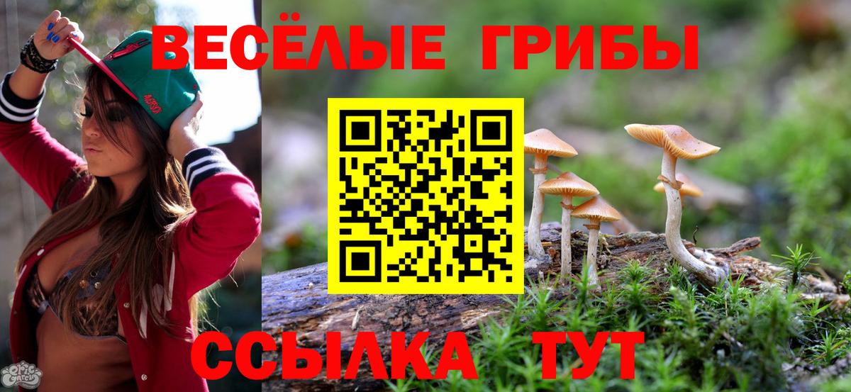 Галлюциногенные грибы мухоморы Валуйки