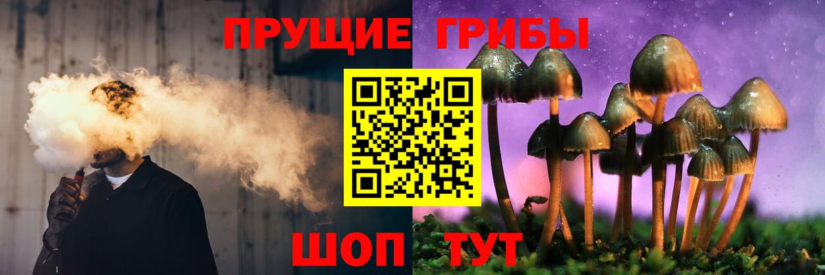 Валуйки  Галлюциногенные грибы Psilocybine cubensis  Псилоцибиновые грибы мухоморы  Вход с VPN 
