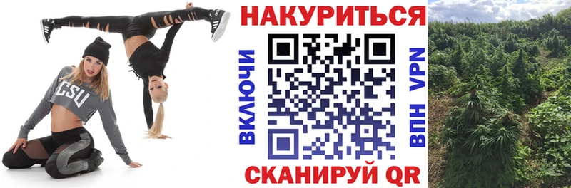 мега сайт  Валуйки  Канабис планчик  как найти наркотики 